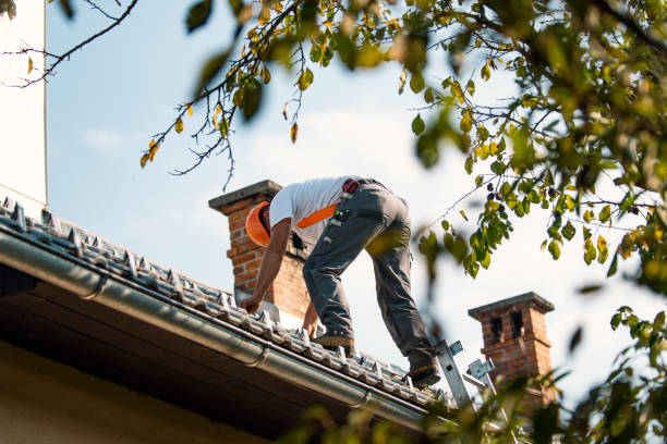 Best Storm Damage Roof Repair  in Forest Meadows, CA
