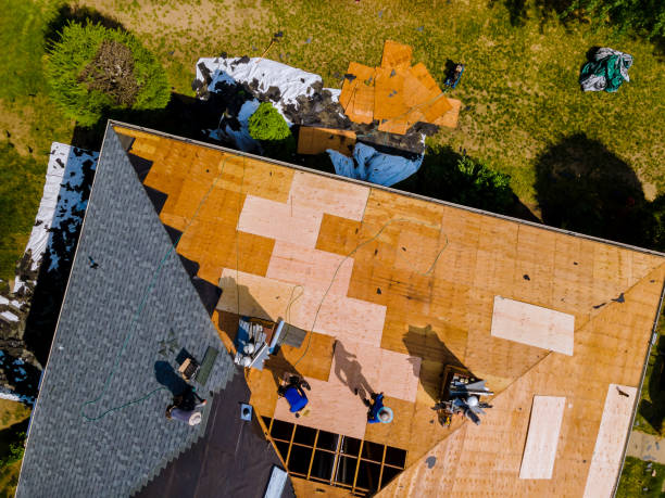 Quick and Trustworthy Emergency Roof Repair Services in Forest Meadows, CA