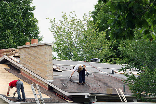 Best Tile Roofing Contractor  in Forest Meadows, CA