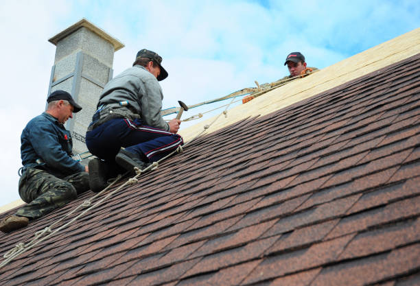 Best Roof Gutter Cleaning  in Forest Meadows, CA