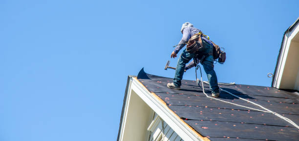 Best Roof Maintenance Services  in Forest Meadows, CA